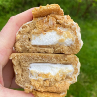 Refreshing Crunchy Delicious- Crispy Lemon Cookies